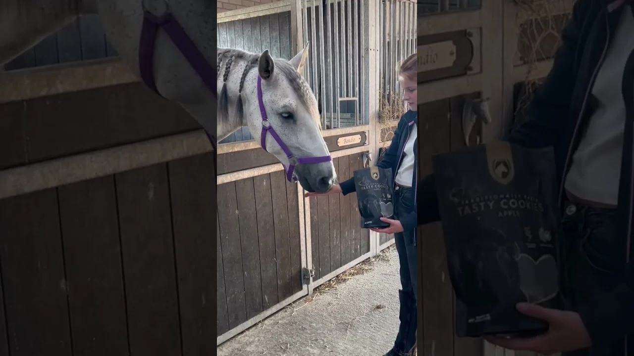 Koňské sušenky s jablkem, 500 g – Excellent Horse Ambachtelijke Paardenkoekjes Appel - Obrázek 5