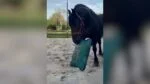 Vak na seno pro koně, čtvercový, růžový, 62 x 55 cm – Excellent Horse Hay Pillow Slow Feeder - Obrázek 2