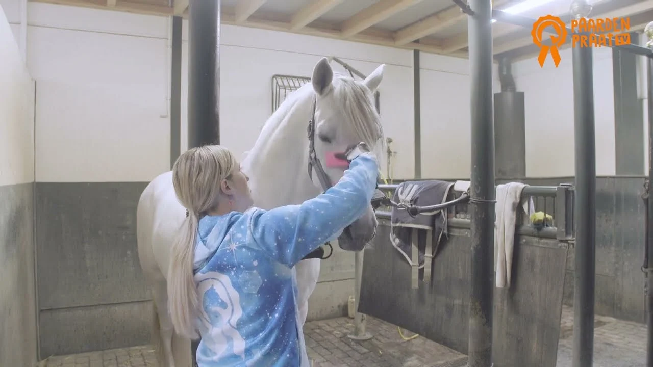 Kartáč na hřebelcování a mytí koně, růžový M, 17,5 cm – Paardenpraat TV Grooming Brush - Obrázek 2