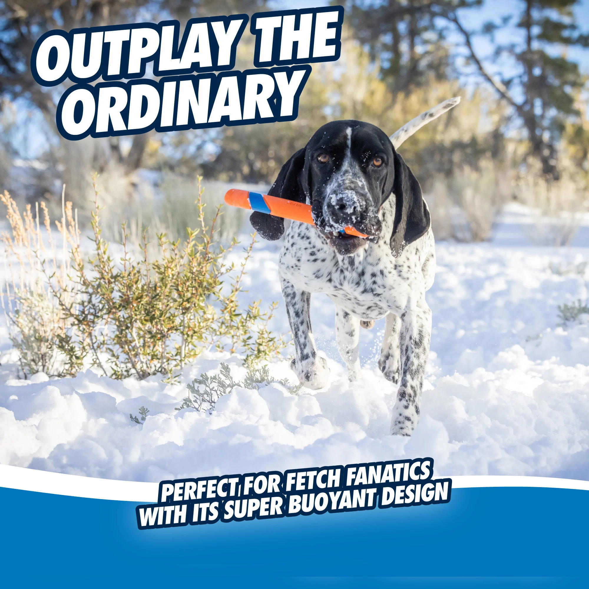 Aportovací hůlka v jasných barvách, 28 cm – Chuckit! Ultra Fetch Stick - Obrázek 5