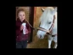 Rozčesávací sprej na hřívu a ocas koně, 250 ml – Lucky Horse Unicorn Knuffel Spray - Obrázek 2